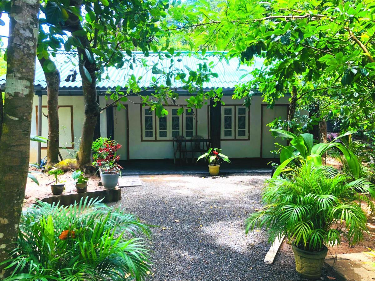 Drongo Place Dikwella Exterior foto